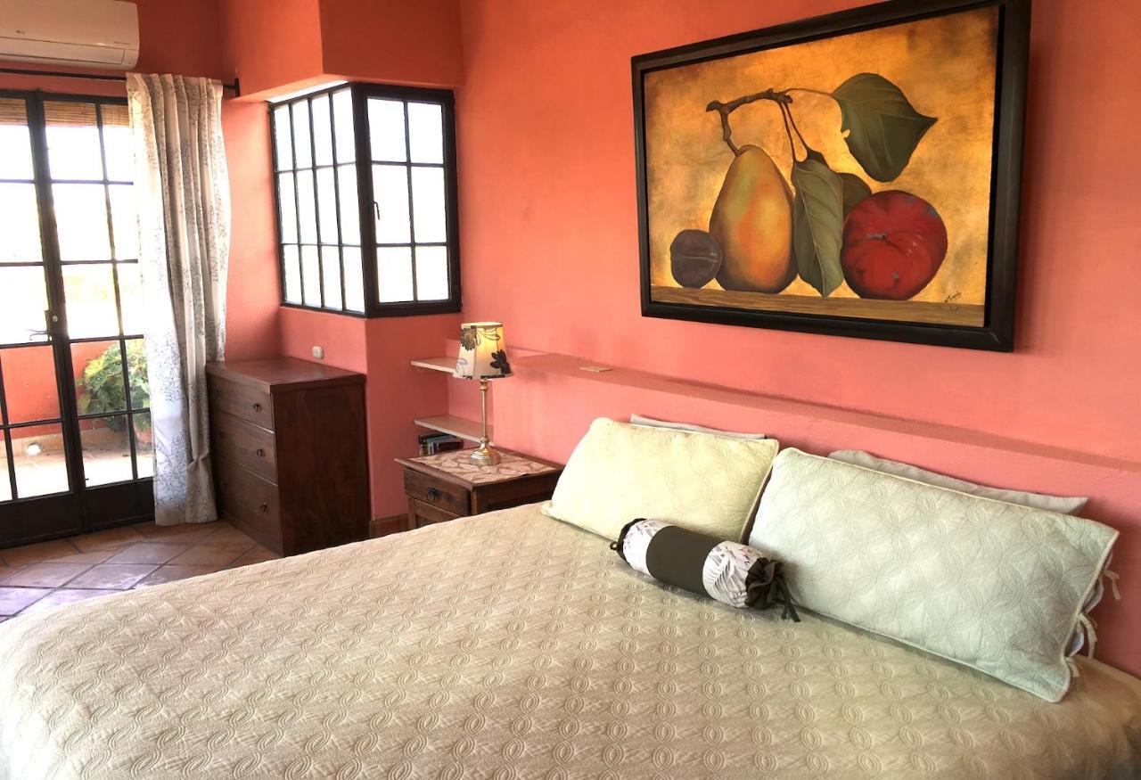 Casa De La Manana Bed and Breakfast San Miguel de Allende Værelse billede